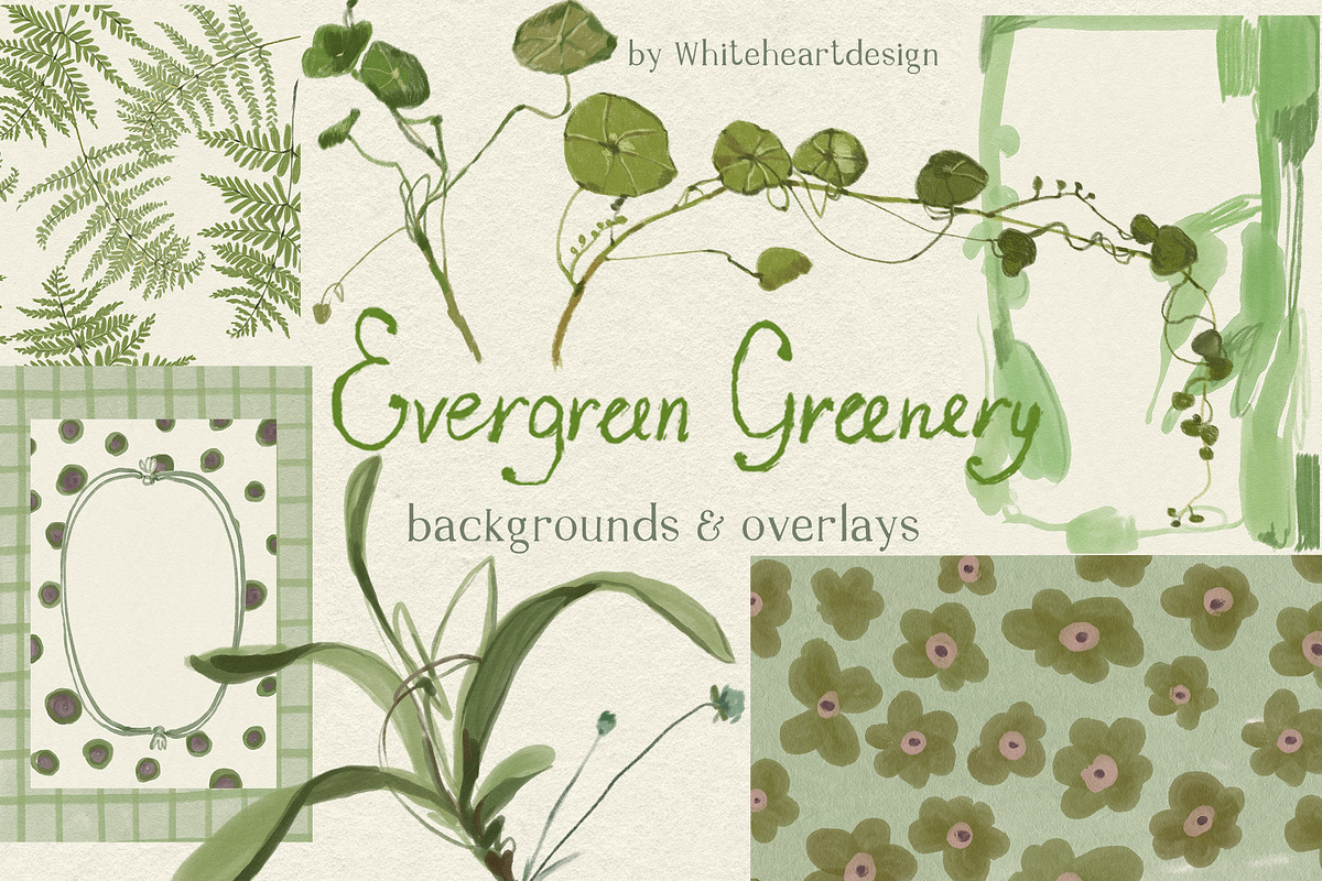 Greenery & Ferns PNG Illustrations, a Decorative Illustration by whiteheartdesign (Photo 1 of 19)