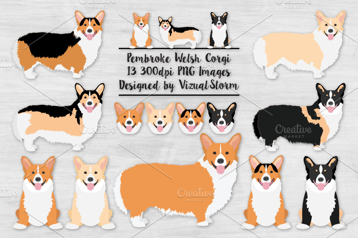 Pembroke Welsh Corgi Illustrations, an Illustration by VizualStorm