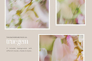 Soft Floral Spring Blur Backgrounds, a Background Graphic by eclosque (Thumbnail 6 of 48)