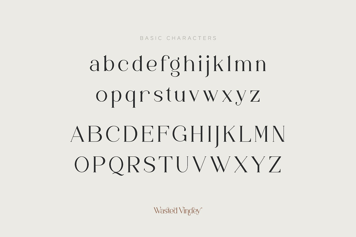 Wasted Vindey - Classy Serif Font, a Serif Font by Koplexs Studio (Photo 8 of 14)