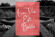 Angelline a Chic Handwritten Font, a Script Font by Basnistudio (Thumbnail 9 of 12)