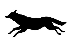 A Beautiful Dynamic Silhouette, an Animal Illustration by Things for designers