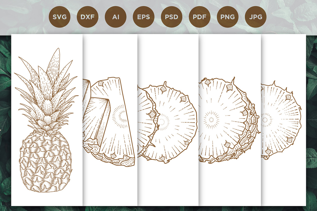 Pineapple engraving style hand drawn, a Food Illustration by vectorartificer (Photo 1 of 6)
