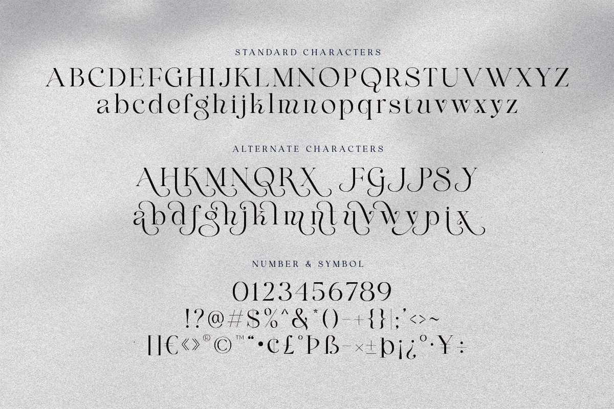 Maglite - Modern Ligature Serif, a Serif Font by Sarid Ezra (Photo 13 of 13)