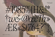 The Astoria's Editorial Serif, a Serif Font by CarmineType (Thumbnail 10 of 26)