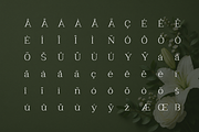 Clayton – Elegant Serif Typeface, a Serif Font by Webhance Studio (Thumbnail 7 of 10)