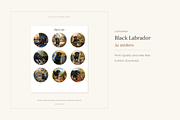 Black Labrador Illustrations, 30, an Animal Illustration by LanternkinStudio (Thumbnail 4 of 14)