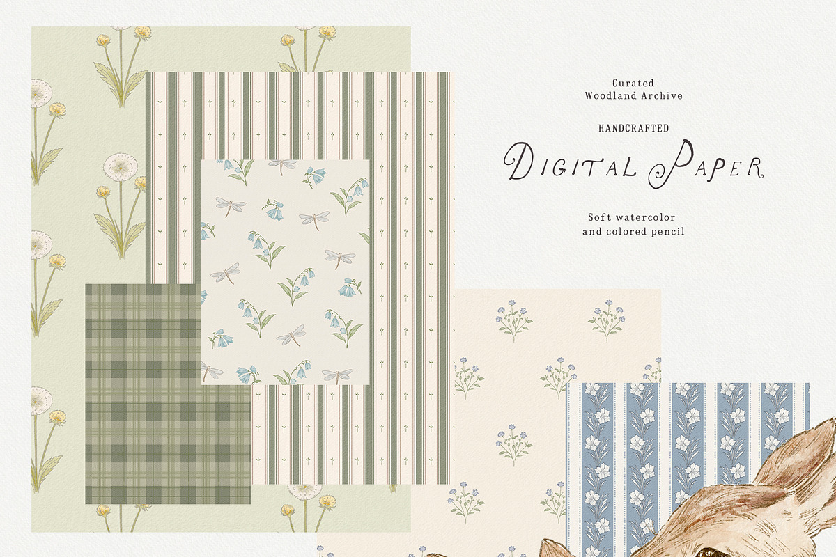Bramblewood Tales Woodland Clipart, a Decorative Illustration by Muse Artist (Photo 14 of 29)