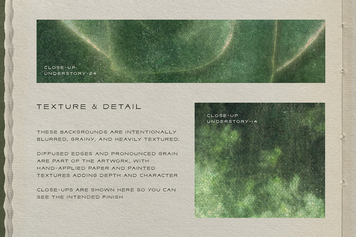 Understory Organic Backgrounds, a Background Graphic by alonahaidash (Photo 9 of 15)