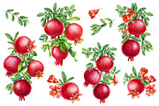 Watercolor fruits clipart, an Illustration by Hanna Hryharenka (Thumbnail 14 of 14)