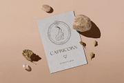 Zodiac Signs Icons. Horoscope Logos, an Outline Icon by Olya Creative (Thumbnail 3 of 5)