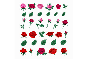 Rose Flowers Set