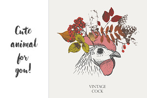 vintage rooster