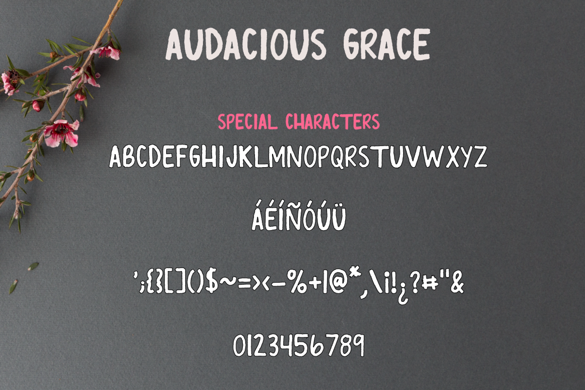 Audacious Grace Font preview 6