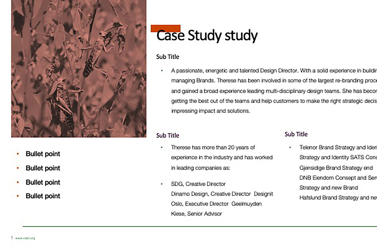 Colorful Template For Any Use, a Templates & Theme by Iconography - Pitch Deck (Photo 17 of 36)