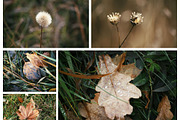 Autumn nature photography set, a Nature Photo by pictures for you (Thumbnail 8 of 22)