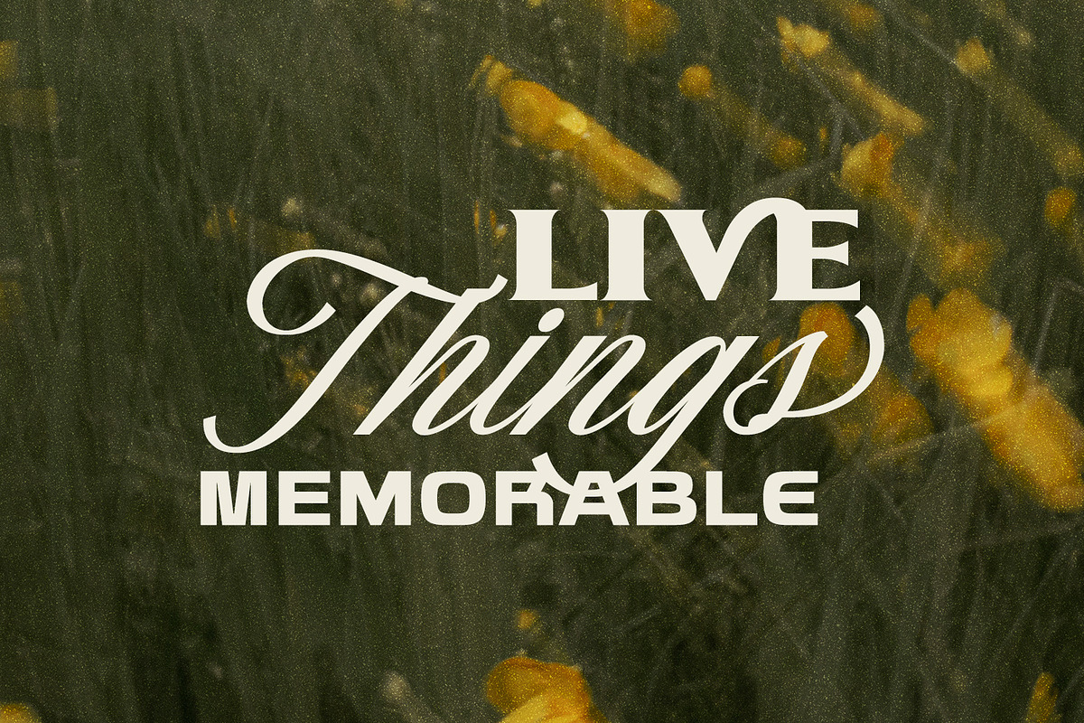 Norhaven, a Serif Font by din-studio.com (Photo 5 of 16)
