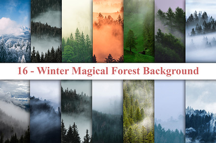 Winter Magical Forest Digital Paper, a Nature Photo by Digital Studio