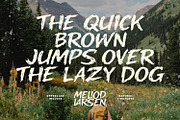 Meliod Larsen Bold Hand Drawn Font, a Handwritten Font by Maulana Creative (Thumbnail 4 of 7)