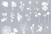 Bloom & Shade Botanical PNG Elements, an Object Graphic by alonahaidash (Thumbnail 8 of 13)