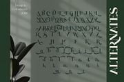Rollgates Fabulous, a Font by Cotbada_studio (Thumbnail 12 of 12)
