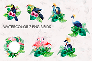 Parrots. Watercolor exotic BIRDS, an Illustration by lilisavelieva (Thumbnail 5 of 5)