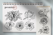 Flowers Line Hand Drawn, a Decorative Illustration by LanaDzi (Thumbnail 4 of 10)