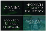 The Fashion Font Bundle (18 Fonts), a Serif Font by HipFonts (Thumbnail 11 of 18)