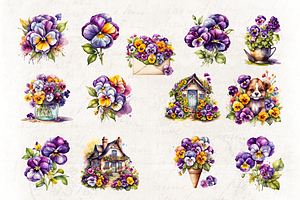 Pansy Watercolor Illustrations