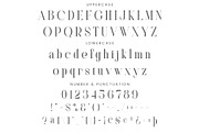 Yosan - Elegant Serif Font, a Serif Font by Aqeel_Art (Thumbnail 10 of 12)
