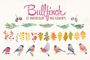 Watercolor bullfinch bird clipart, an Illustration by Art & Things (Thumbnail 5 of 5)