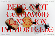Spanish Archer - Ligature-Rich Font, a Serif Font by SilverStag Type Foundry (Thumbnail 6 of 19)