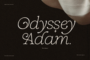 Solance Italic Family, a Serif Font by Sans & Sons (Thumbnail 3 of 10)
