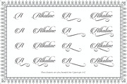 Candlescript Pro + Parts, a Script Font by Vast (Thumbnail 3 of 5)