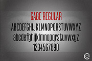 Gabe Sans - Tall Gothic Font Family, a Sans Serif Font by Cribb Co. (Thumbnail 3 of 14)