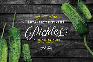 Pickle Vector - Botanic Specimens