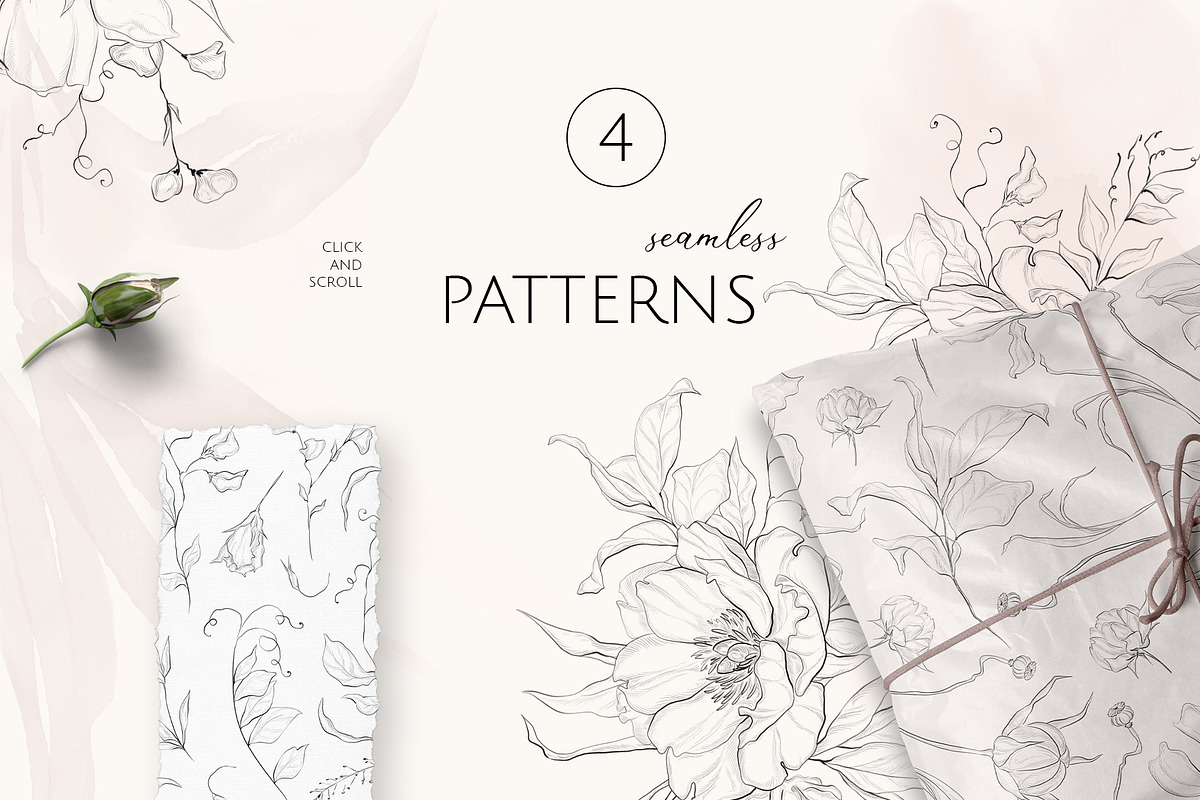 FINE GARDEN line art floral set, a Decorative Illustration by Yuliia Lashevska (Photo 8 of 12)