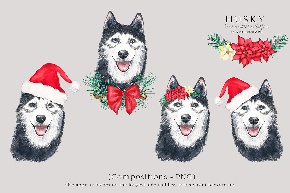 Christmas Husky Dog Winter Clipart, an Illustration by Ksenia Shmakova (Photo 3 of 6)
