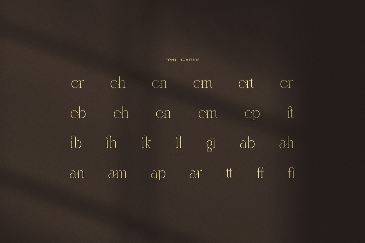 Remita Elegant Serif Font, a Serif Font by Graphicxell (Photo 8 of 8)