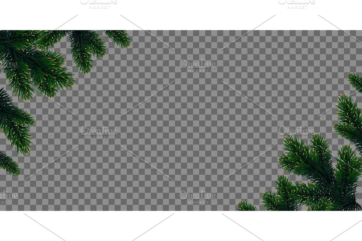 Green Christmas tree branches, an Object Graphic by irska