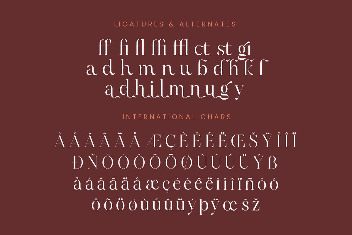 Hamster Modern Serif Font, a Serif Font by Letterena Studios (Photo 14 of 15)