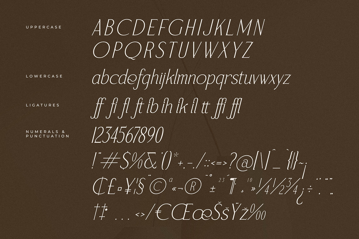 Serafilms Modern Stylish Serif, a Serif Font by Storytype Studio (Photo 14 of 15)
