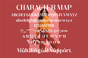Hustle Actlife Serif LS, a Serif Font by GranzCreative (Thumbnail 3 of 19)