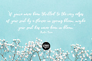 GRAYSON JAMES a Bold Script Font, a Script Font by Blush Font Co. (Thumbnail 2 of 6)