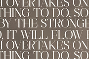 Ragiften Modern Serif Font, a Serif Font by Letterena Studios (Thumbnail 6 of 15)