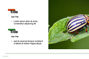 Colorful Template For Any Use, a Templates & Theme by Iconography - Pitch Deck (Thumbnail 24 of 36)