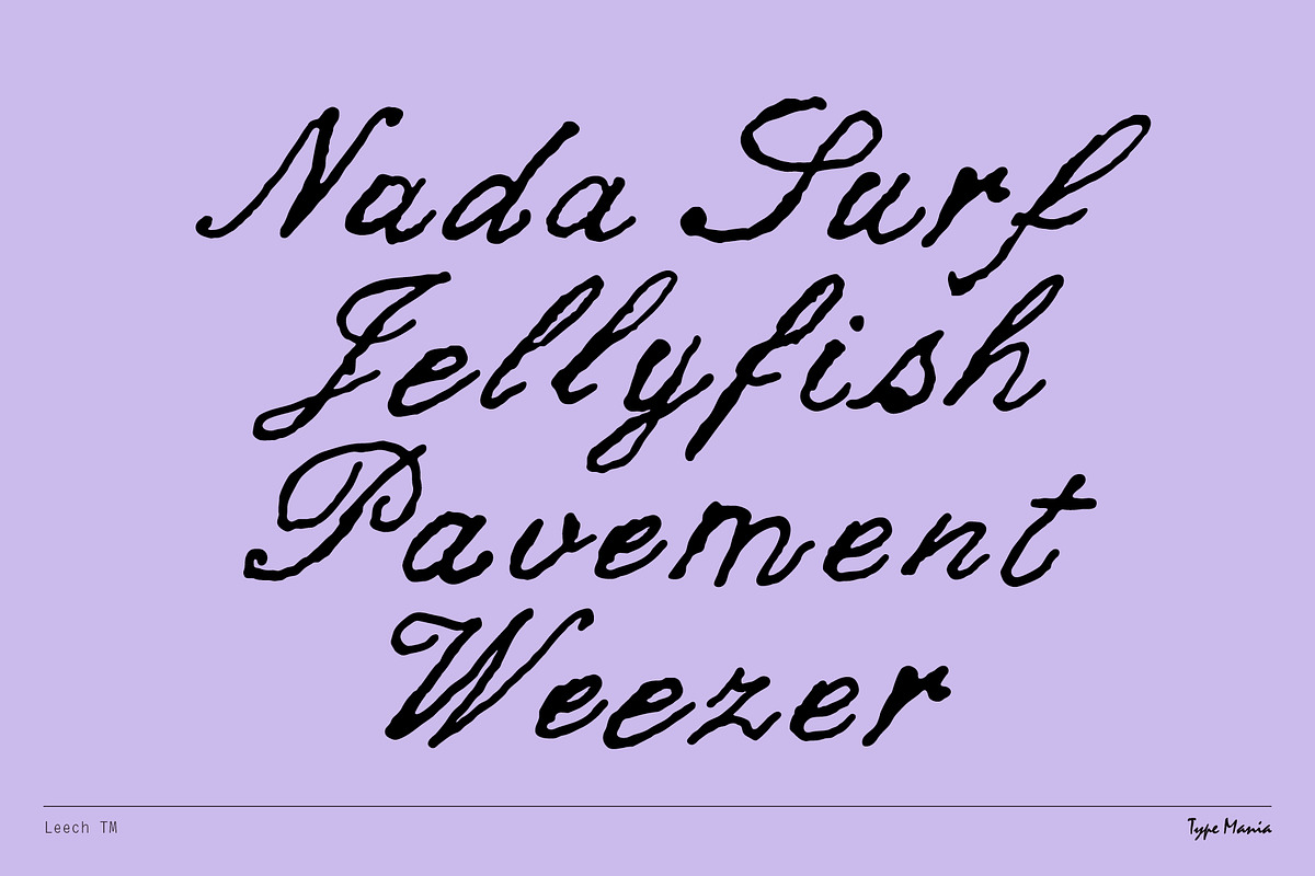 Leech TM – Romantic Script, a Script Font by Type Mania (Photo 7 of 10)