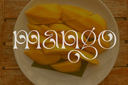 Belgian | Stylish Beautiful Serif, a Serif Font by Sealoung (Thumbnail 10 of 17)