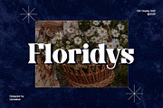 Obligately Old Display Serif Font, a Serif Font by UICreative (Thumbnail 3 of 13)