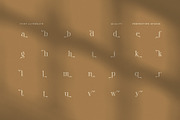 Quality Elegant Serif Font, a Serif Font by Perfectype (Thumbnail 8 of 8)
